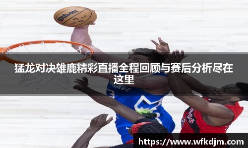 猛龙对决雄鹿精彩直播全程回顾与赛后分析尽在这里
